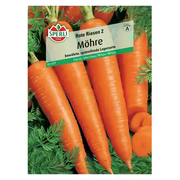 Marchew 'Rote Riesen 2' Nasiona PREMIUM Sperli