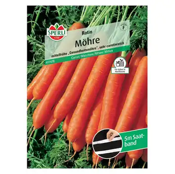 Marchew 'Rotin' Nasiona PREMIUM Sperli