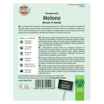 Melon 'Masada' Nasiona PREMIUM Sperli