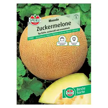 Melon 'Masada' Nasiona PREMIUM Sperli