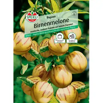 Melon gruszkowy 'Pepino' Nasiona PREMIUM Sperli