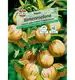 Melon gruszkowy 'Pepino' Nasiona PREMIUM Sperli