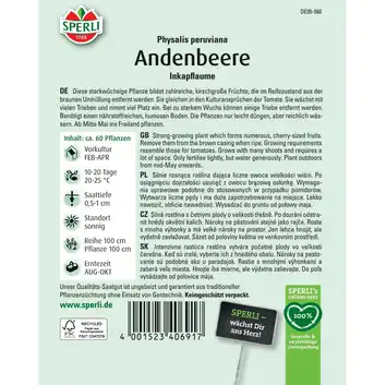 Miechunka peruwiańska 'Inkapflaume' Nasiona PREMIUM Sperli