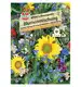 Mieszanka kwiatów 'SPERLI's Bienengarten' Nasiona PREMIUM Sperli