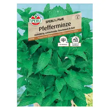 Mięta pieprzowa 'SPERLI's Pfeffi' Nasiona PREMIUM Sperli