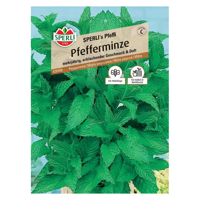 Mięta pieprzowa 'SPERLI's Pfeffi' Nasiona PREMIUM Sperli