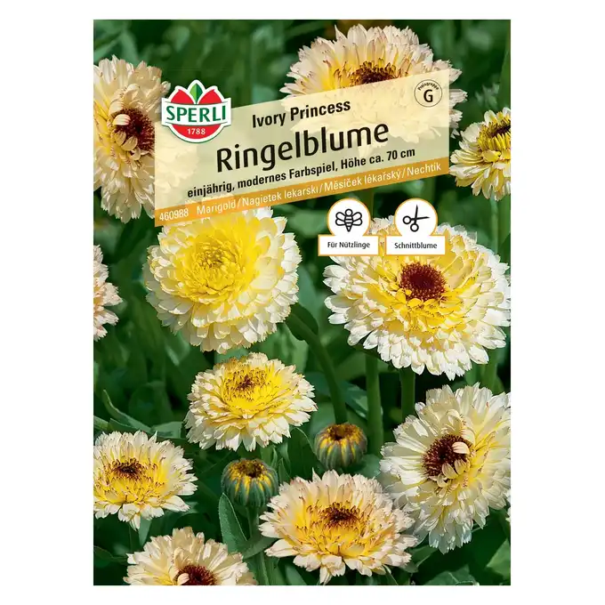 Nagietek lekarski 'Ivory Princess' Nasiona PREMIUM Sperli