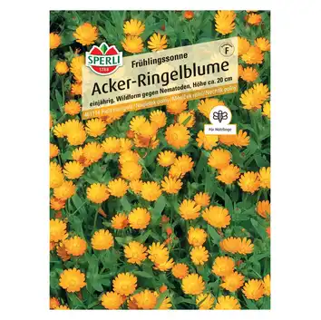 Nagietek polny 'Frühlingssonne' Nasiona PREMIUM Sperli