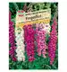 Naparstnica 'SPERLI's Mervita Mischung' Nasiona PREMIUM Sperli