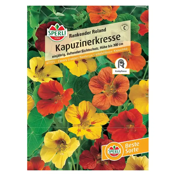 Nasturcja 'Rankender Roland' Nasiona PREMIUM Sperli