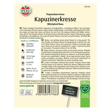 Nasturcja 'Whirlybird Rose' Nasiona PREMIUM Sperli