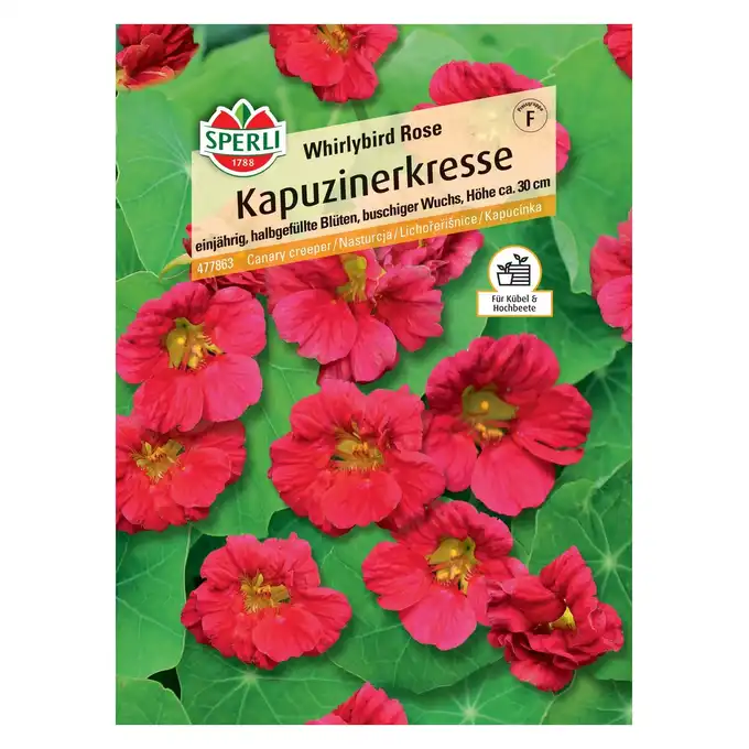 Nasturcja 'Whirlybird Rose' Nasiona PREMIUM Sperli
