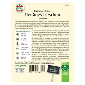 Niecierpek waleriana 'Leuchtfeuer' Nasiona PREMIUM Sperli