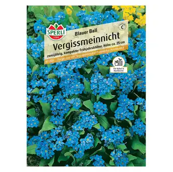 Niezapominajka 'Blauer Ball' Nasiona PREMIUM Sperli