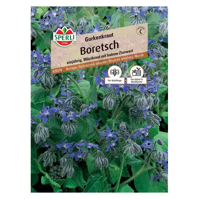 Ogórecznik lekarski 'Gurkenkraut' Nasiona PREMIUM Sperli