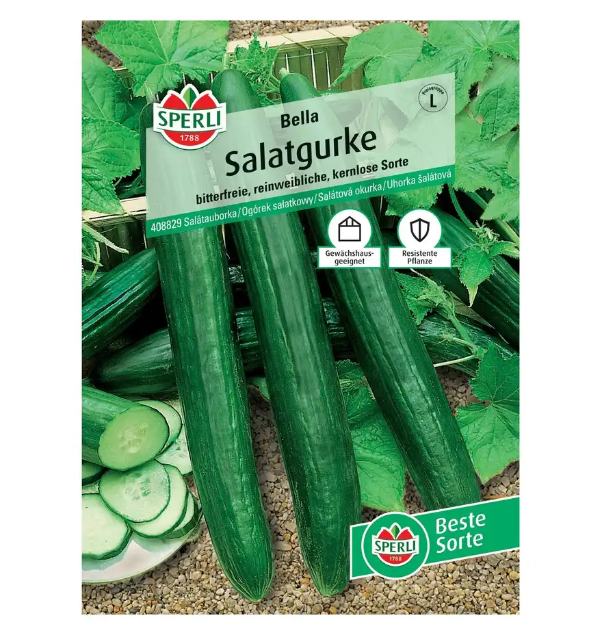 Ogórek sałatkowy 'Bella' Nasiona PREMIUM Sperli