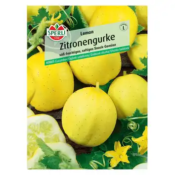 Ogórek sałatkowy 'Lemon' Nasiona PREMIUM Sperli
