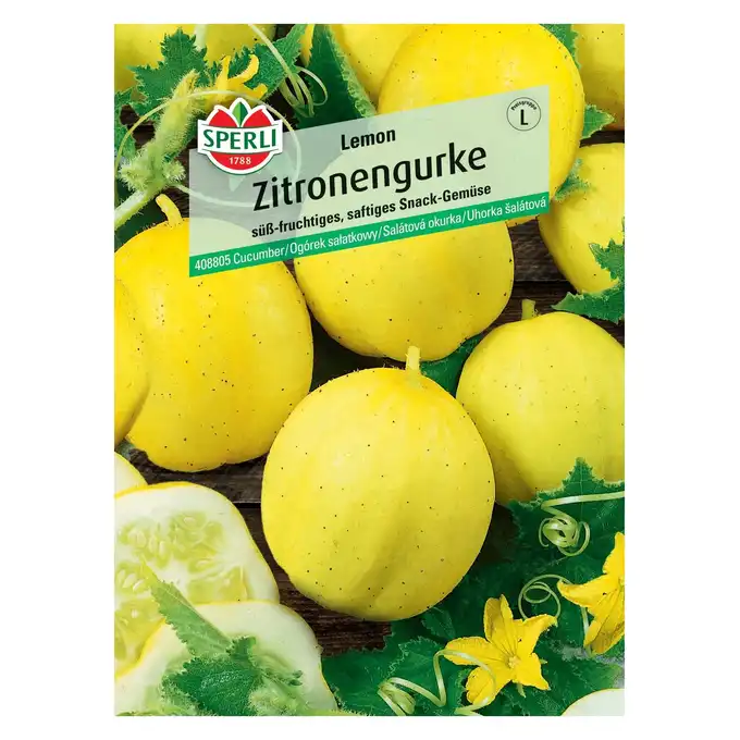 Ogórek sałatkowy 'Lemon' Nasiona PREMIUM Sperli
