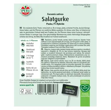 Ogórek sałatkowy 'Paska' Nasiona PREMIUM Sperli