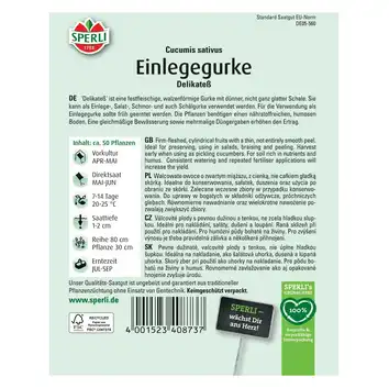 Ogórek siewny 'Delikateß' Nasiona PREMIUM Sperli
