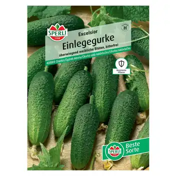Ogórek siewny 'Excelsior' Nasiona PREMIUM Sperli