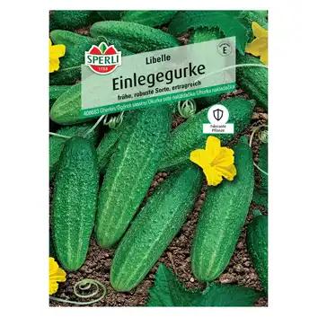 Ogórek siewny 'Libelle' Nasiona PREMIUM Sperli