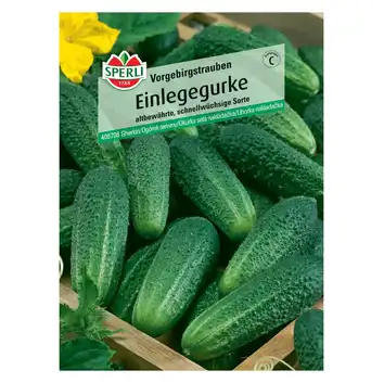 Ogórek siewny 'Vorgebirgstrauben' Nasiona PREMIUM Sperli