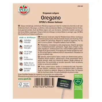 Oregano 'SPERLI's Kleiner Italiener' Nasiona PREMIUM Sperli