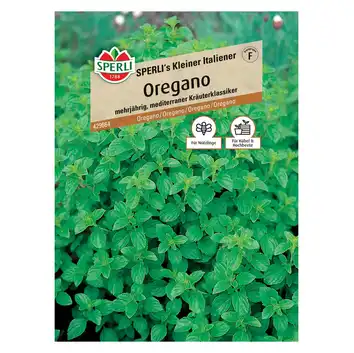 Oregano 'SPERLI's Kleiner Italiener' Nasiona PREMIUM Sperli