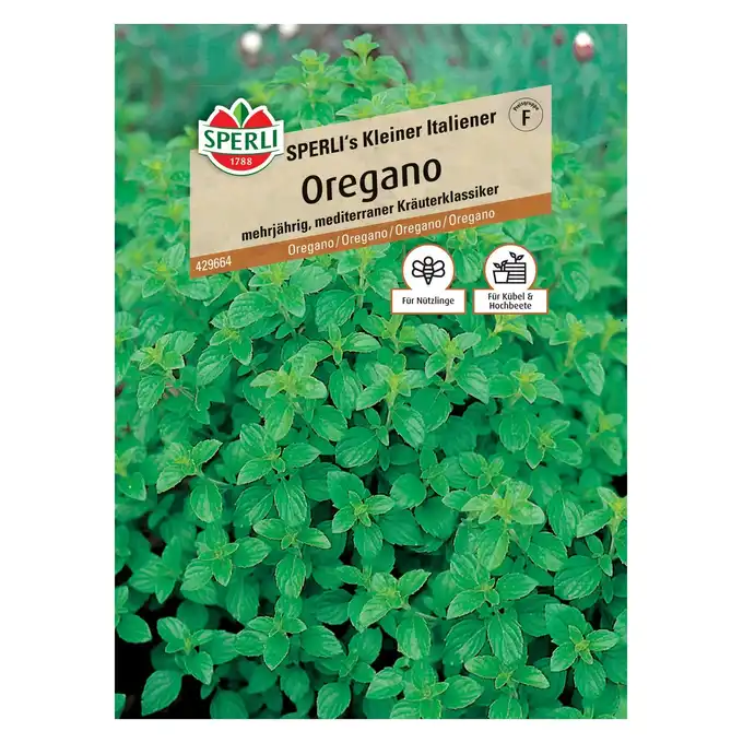 Oregano 'SPERLI's Kleiner Italiener' Nasiona PREMIUM Sperli