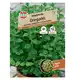 Oregano 'SimplyHerbs' Nasiona PREMIUM Sperli