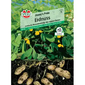 Orzech ziemny 'Jimmy's Pride' Nasiona PREMIUM Sperli