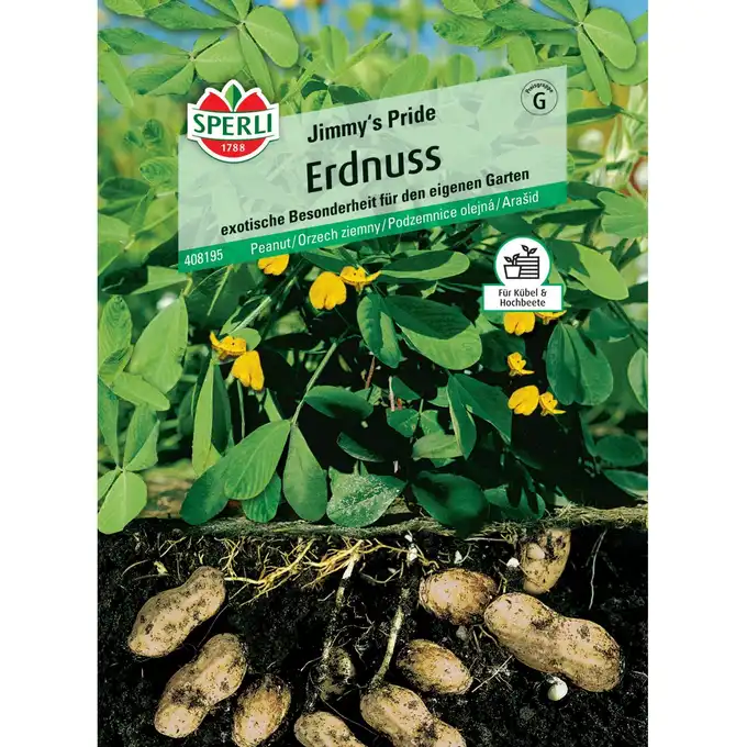 Orzech ziemny 'Jimmy's Pride' Nasiona PREMIUM Sperli