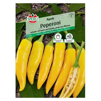 Papryka blokowa 'Agudo' Nasiona PREMIUM Sperli