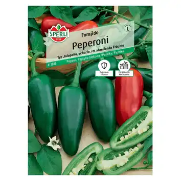 Papryka blokowa 'Forajido' Nasiona PREMIUM Sperli