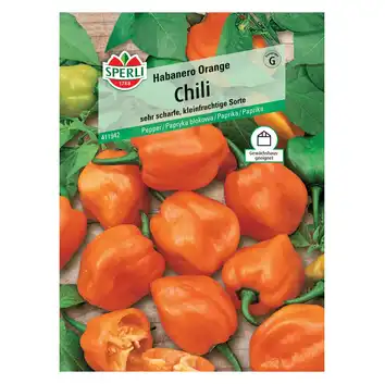 Papryka blokowa 'Habanero Orange' Nasiona PREMIUM Sperli