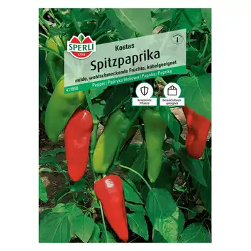 Papryka blokowa 'Kostas' Nasiona PREMIUM Sperli