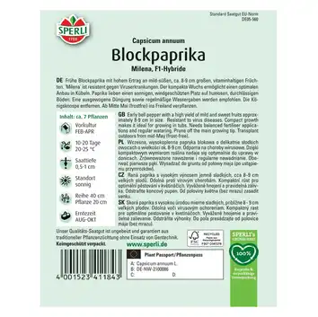 Papryka blokowa 'Milena' Nasiona PREMIUM Sperli