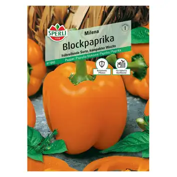 Papryka blokowa 'Milena' Nasiona PREMIUM Sperli