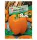 Papryka blokowa 'Milena' Nasiona PREMIUM Sperli