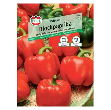 Papryka blokowa 'Priscila' Nasiona PREMIUM Sperli