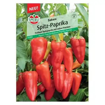 Papryka blokowa 'Sakura' Nasiona PREMIUM Sperli