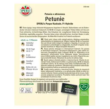 Petunia 'SPERLI's Purpur Kaskade' Nasiona PREMIUM Sperli