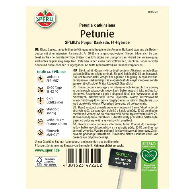 Petunia 'SPERLI's Purpur Kaskade' Nasiona PREMIUM Sperli