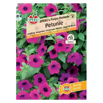 Petunia 'SPERLI's Purpur Kaskade' Nasiona PREMIUM Sperli