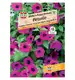 Petunia 'SPERLI's Purpur Kaskade' Nasiona PREMIUM Sperli