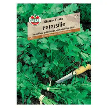 Pietruszka 'Gigante d'Italia' Nasiona PREMIUM Sperli