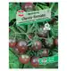 Pomidor 'Black Cherry' Nasiona PREMIUM Sperli