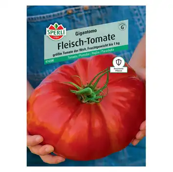Pomidor 'Gigantomo' Nasiona PREMIUM Sperli