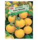 Pomidor 'Goldene Königin' Nasiona PREMIUM Sperli